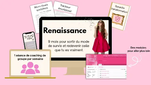 Programme ReNaissance